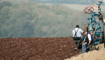 Fijan remuneraciones para el trabajo agrario permanente en todo el país