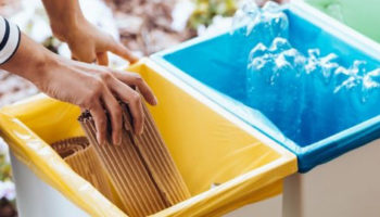 Estudio Brady se compromete con el medio ambiente